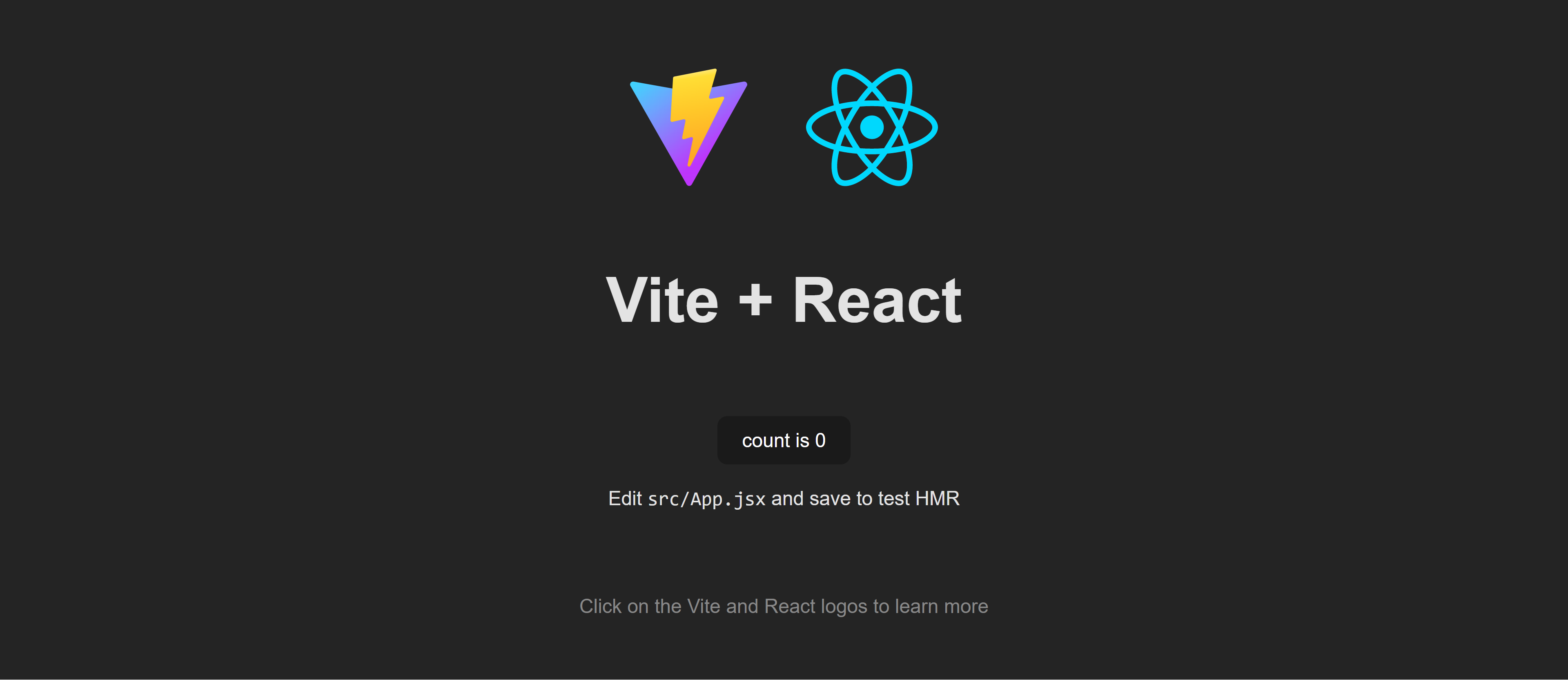 Using Vite for React Applications